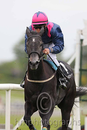 R4 - Bisou Baby 2nd , Jockey L F Roche - FT8E0498-e