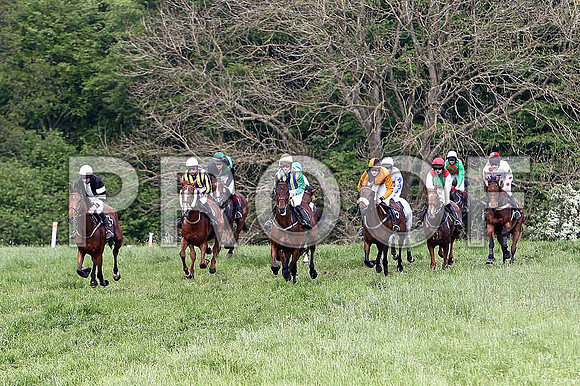 Race 6 Div 1 - Mr Moneyspinner (20) Winner, Rider M J O'Hare - 3rd from right green red epaulettes- CU2D9744-e