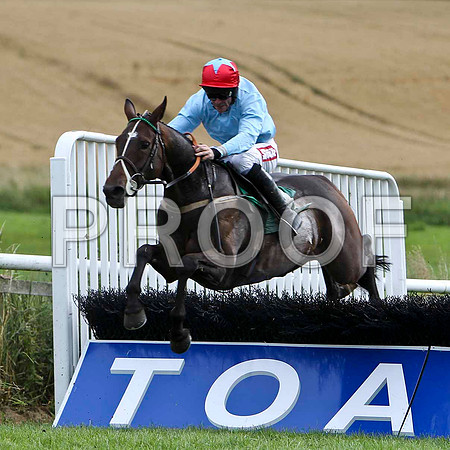Mighty Snazy - 4th, Jockey D N Russell  - FT8E3896-e