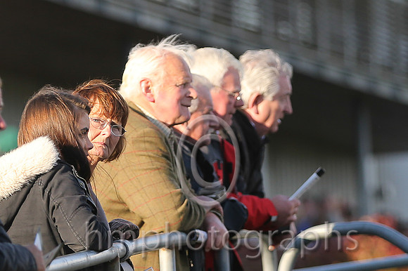 Spectators at Down Royal
