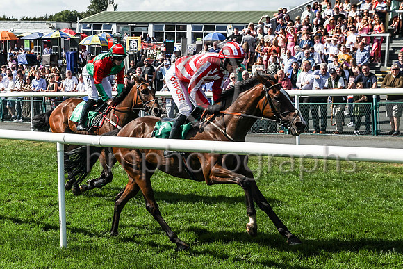 Desertmore House and Ricky Doyle number 4 Green and Red Qtrd winners of Race 3 The Ulster Carpets Maiden Hurdle