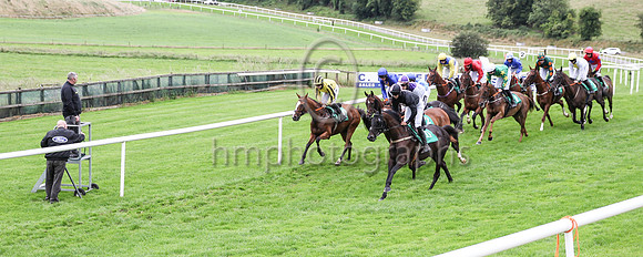 The start at Downpatrick Racecourse