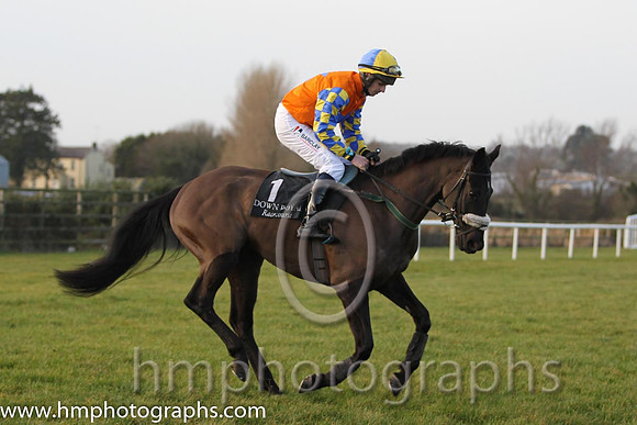 02 Mister Nibbles & Mr B G Crawford - 2nd (1, orange, royal blue star ) - FT8E1812-39
