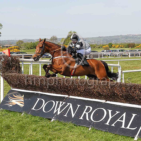 01st Art Of Payroll and D F O?Regan ( 1 , grey, black cross ) Trainer - M S Sandra Hughes , Owner - Bishopsgate Syndicate