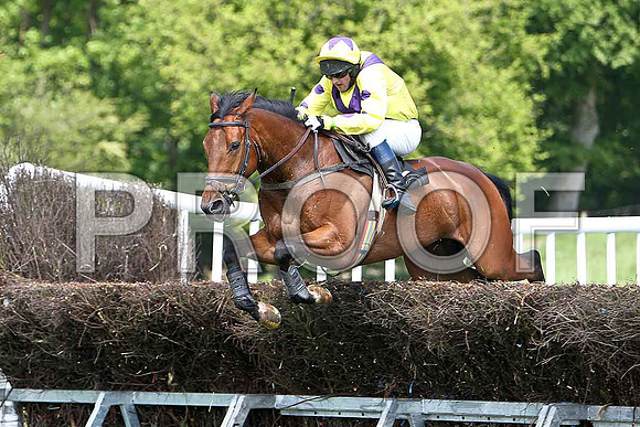 First Race - Filbert Fox (8) Fell, Rider R M Johnson - CU2D9543-e
