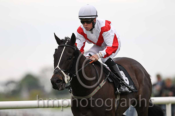 R6 - San Diego Prince 13th, Jockey L F Roche - FT8E0561-e
