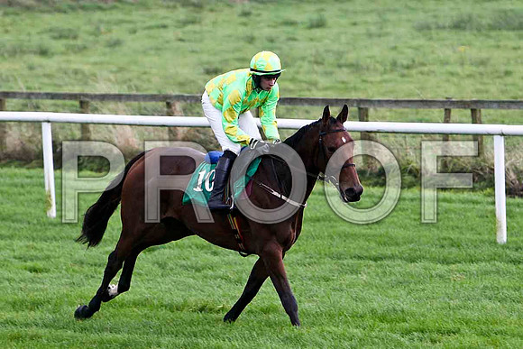 Tulla Emerald , 6th - Jockey D J Bates - FT8E5185-e