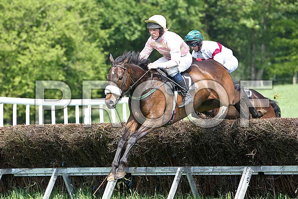 First Race - Spice Hill (17) Winner, Rider JD Moore & Pollard (13) Fell,  Rider C Cully - CU2D9533-e
