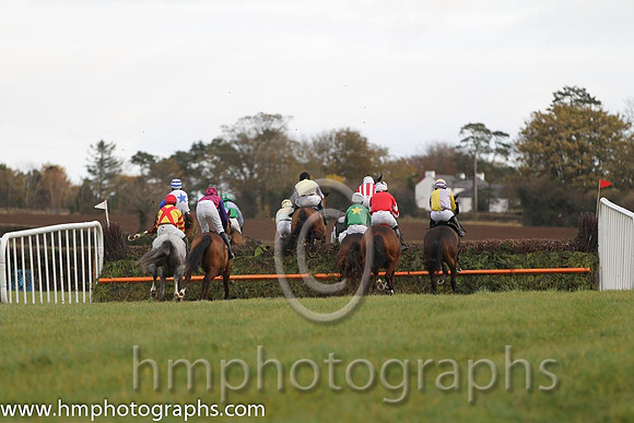 Iveagh Foxhounds P2p at Maralin - FT8E0831-9