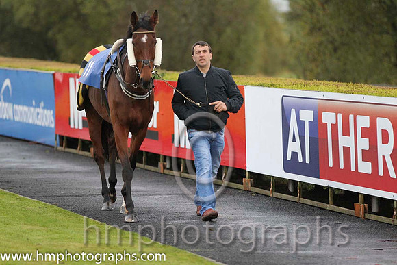 05 Drop Anchor & P T Enright - 5th (11, yellow, maroon stars) - FT8E0425-2