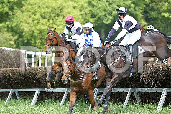 First Race - Bravo Riquet (3) 4th, Rider D O'Connor - CU2D9540-e