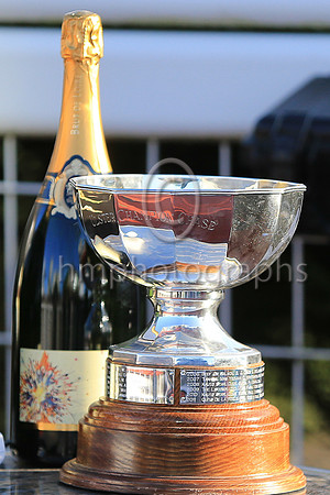 Ulster Champion Chase Trophy
