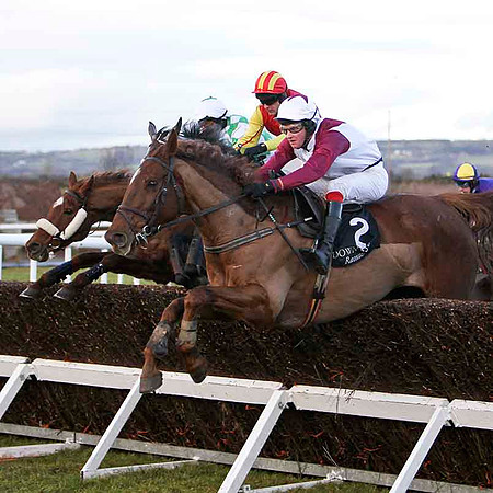 Bobs Way (2) PU, Jockey B Browne - FT8E9943-e
