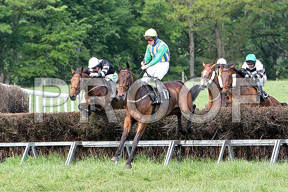 Race 6 Div 1 - Macroger (17) 3rd, Rider D A Fitzsimmons - CU2D9745-e