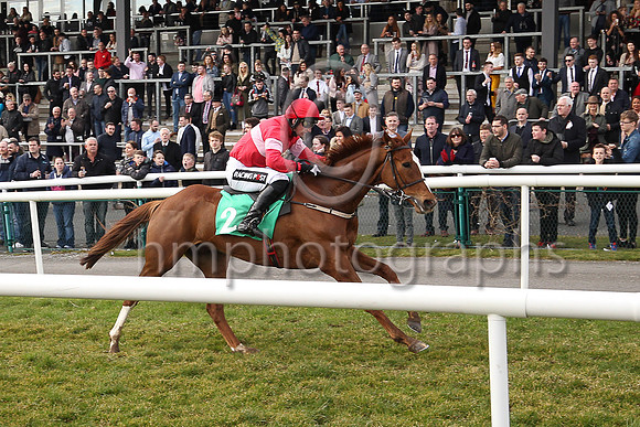 01st Getareason and Mr P W Mullins ( 2 , red, pink band ) Trainer - W P Mullins , Owner - Sullivan Bloodstock Limited
