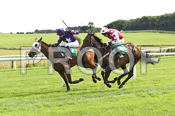 City Hustler 3rd , Jockey Mr M P Fogarty & Breeze with Ease, 4th, Jockey E J O'Connell - FT8E2956-e