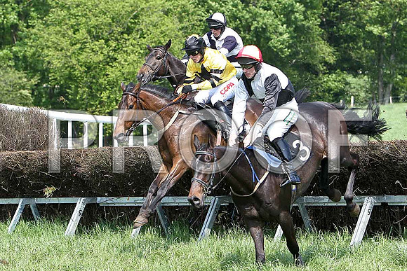 First Race - Bravo Riquet (3) 4th, Rider D O'Connor - CU2D9531-e
