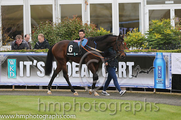 03 Orgilgo Bay and D N Russell - - 03rd (6 ,white and black diamonds ) Trainer - J c McConnell