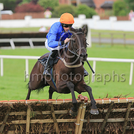 01st The White Volcano and C D Maxwell ( 12 , blue, orange cap ) Trainer - J Woods , Owner - Philip White