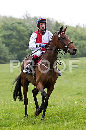 Redbridge Lady , PU, Jockey G L Murphy - FT8E2612-e