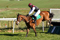 2012/05/11th - Race 2 - The Elvis Tribute Show Mares Hurdle of 10,000 Euro at Downpatrick
