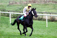 Baby Be Mine , 6th - Jockey P F Mangan - FT8E5257-e2