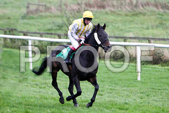 Baby Be Mine , 6th - Jockey P F Mangan - FT8E5257-e2