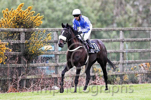 R7 - Kateeva 4th, Jockey V R De Souza - FT8E0622-e