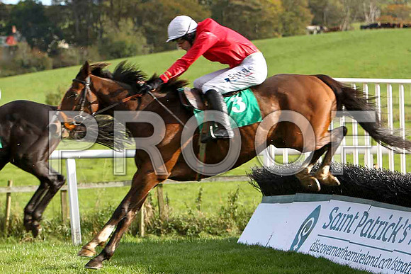 New Town Bay , Jockey Andrew J McNamara - 3rd - CU2D9261-e