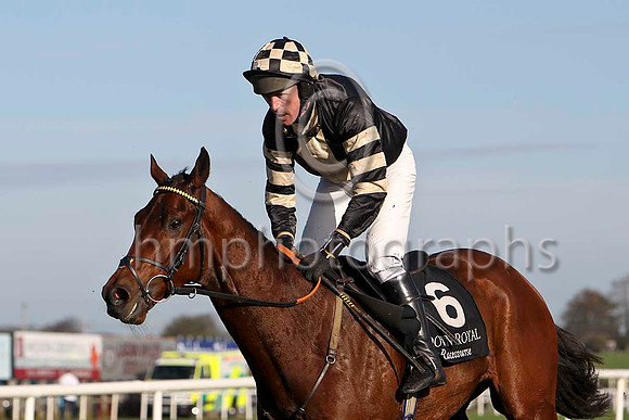 Gemara , 12th - Jockey K Whelan - FT8E6451-e