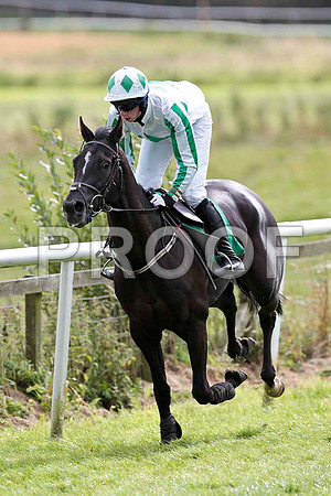 Blue Monster - 13th, Jockey P D Kennedy   -CU2D9451-e