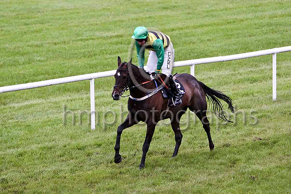 Superior Quality & M D L Queally - 8th (2, yellow & black hoops) - FT8E5498-e