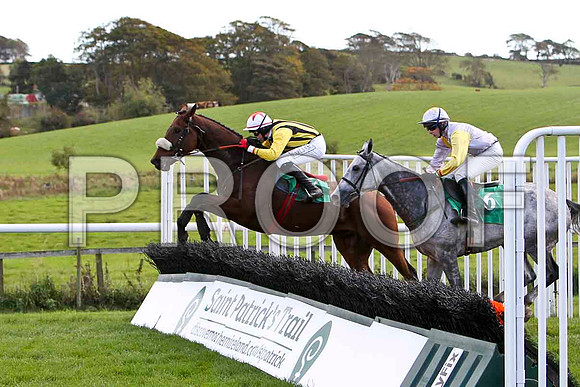 Nally Dancer , Jockey K M Donoghue - 10th & Ma Ani , Jockey D J Bates - 8th - CU2D9192-e