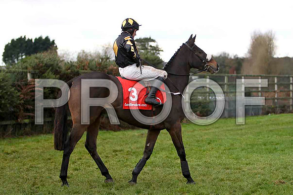 Roberto Goldback , Jockey B J Geraghty - 2nd - CU2D1176-e