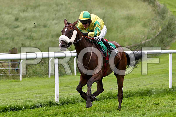Templar Knight 2nd, Jockey P Carberry - CU2D0784-e