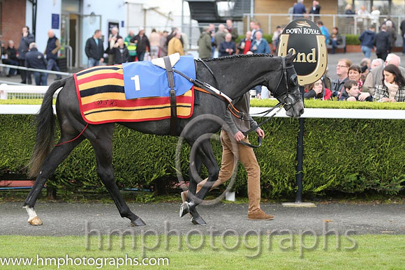 06 Guitar Pete and P Carberry - - 06th (1 ,dark blue, yellow diamond sleeves ) Trainer - D T Hughes