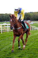 Knockcroghery , 5th, Jockey - D J Bates - FT8E2911-e