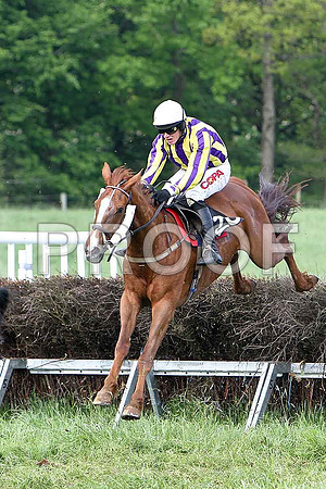 Race 6 Div 1 -Tanzad (28) 4th, Rider B O'Neill  - CU2D9776-e
