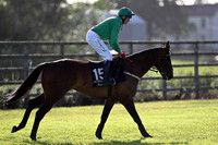 Vintage Rally 6th, Jockey J L Cullen - FT8E0990-e