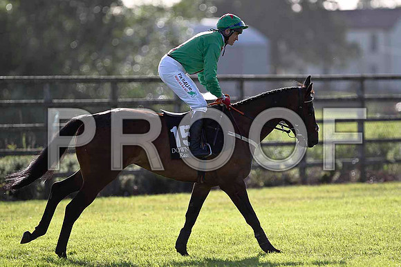 Vintage Rally 6th, Jockey J L Cullen - FT8E0990-e