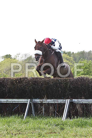 Second Race - Second Race - Kondraki (2) Fell at the last, Rider Derek O'Connor - CU2D9560-e