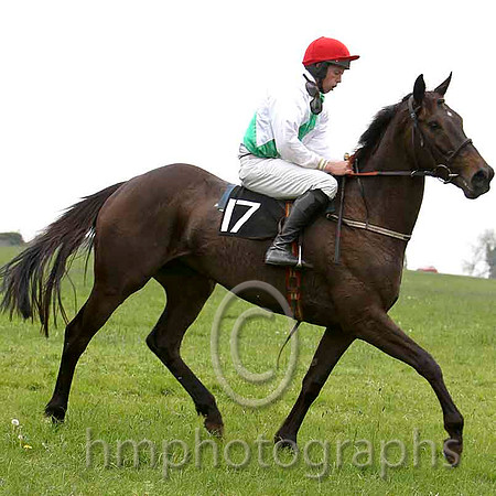 So It Will Be , PU, Jockey G M MangonFT8E2378-e