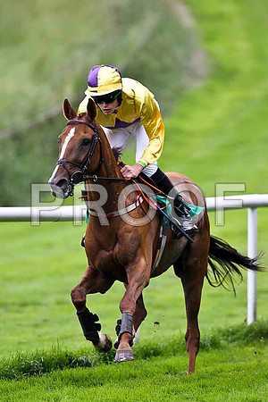Banellie 4th, Jockey M M O'Connor -FT8E1662-e