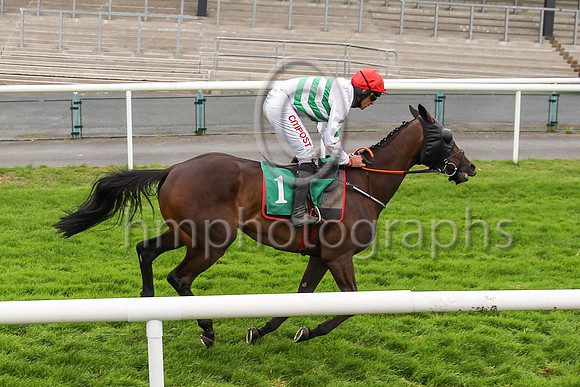 01st Soldiers Hill and D N Russell ( 1 , white, green chevrons ) Trainer - G Elliott , Owner - Noel Moran  Mrs Valerie Moran