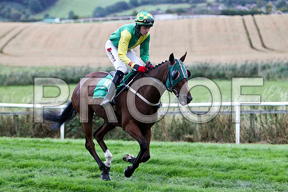 Sir Ejay - 8th, Jockey S W Jackson  - FT8E3920-e