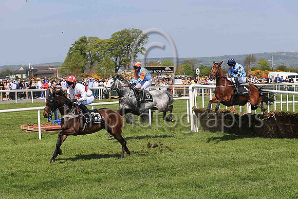 14th Dovil?s Duel and G N Fox ( 1 , light blue, dark blue star ) Trainer - G P Cromwell , Owner - Alzo The Great Syndicate