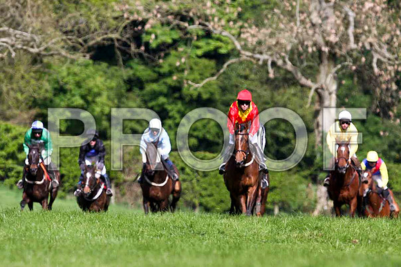 Pilgrams Run PU, Jockey - J Cresswell leads the group - IMG_0539-e
