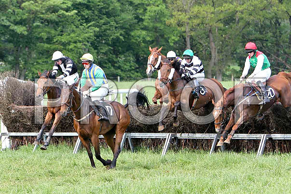 Race 6 Div 1 -ISISISISIS Fell, Rider Derek O'Connor, Macroger (17) 3rd, Rider D A Fitzsimmons, Belfry Boy (3) 7th, Rider R M Johnson & Mr Money spinner (20) winner, Rider M J O'Hare- CU2D9747-e