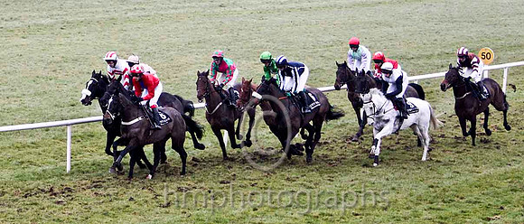 Cute N'Willin (8) in the lead - CU2D2163-e