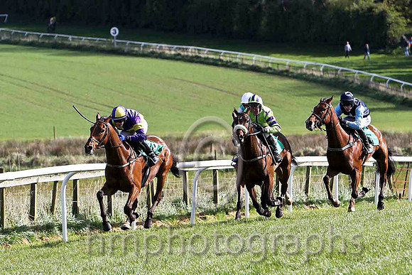 The Amarillo Kid & P Townend - Winner (3, purple and yellow quartered) - FT8E3202-e